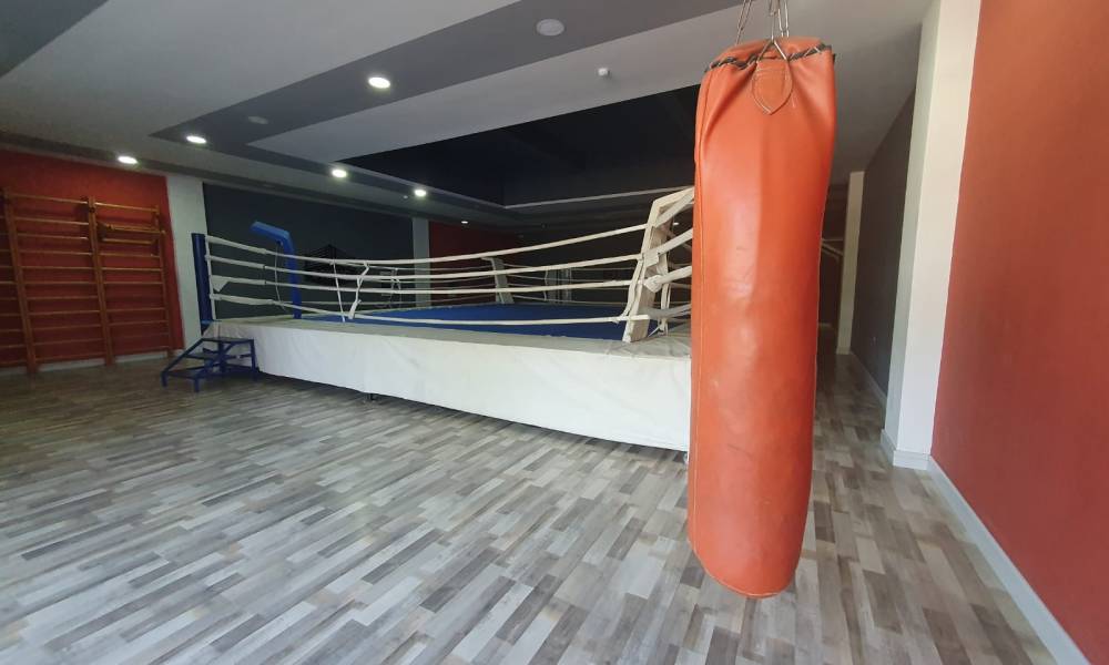 Boxing. Indoor sports activities