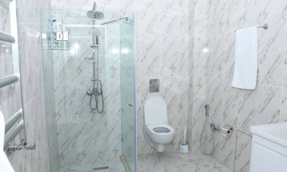 Bathroom, shower. Cottage.