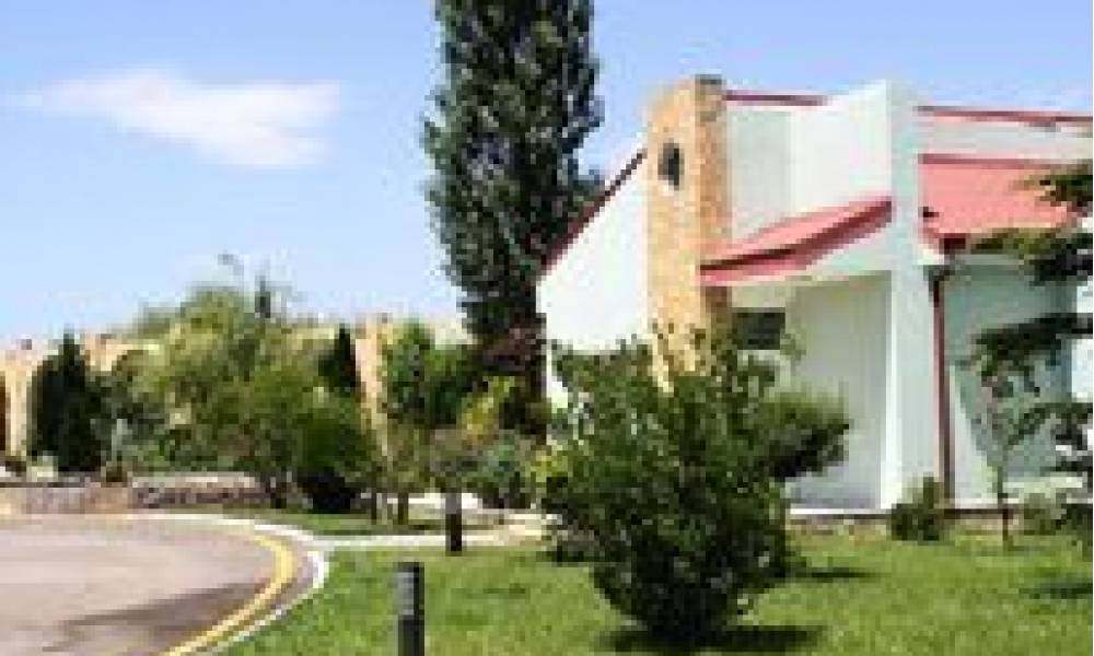 Garden. Open air. Yoga. Retreat activities