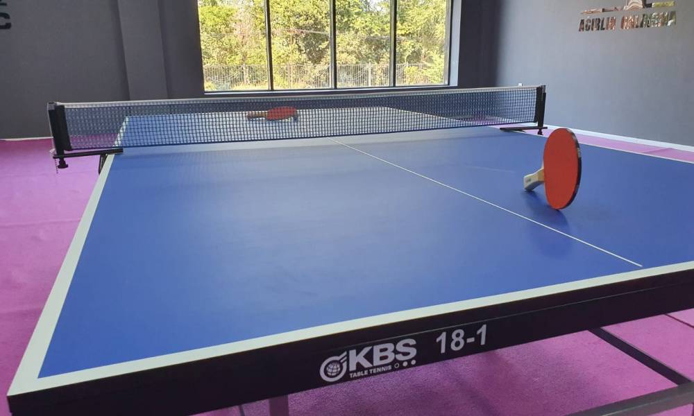 Table tennis. Indoor sports activities