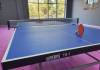 Table tennis. Indoor sports activities