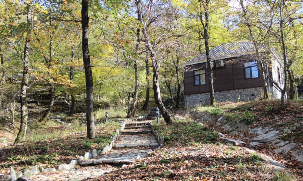 Shamakhi Palace Sharadil