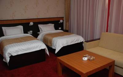 Alp Inn  Otel, Standart ayrı çarpayılı otaq