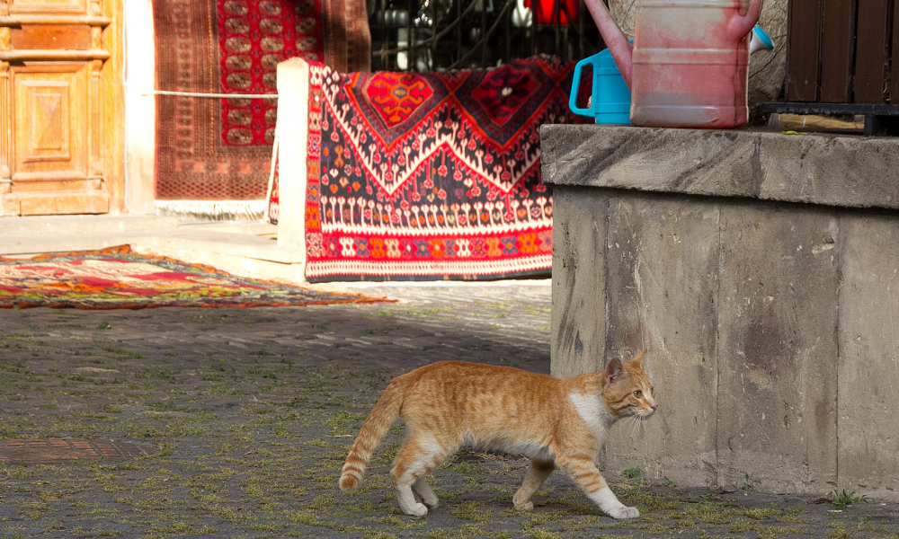 Bakı İçərişəhəri 