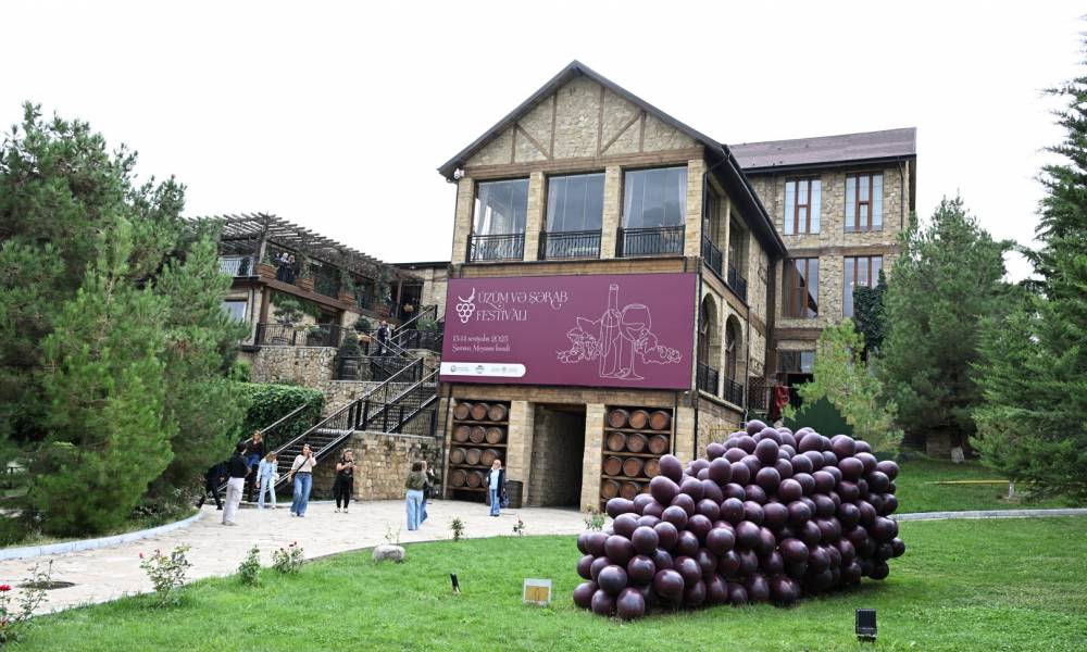 Gündəlik Şamaxı Şərab Zavodu Turu