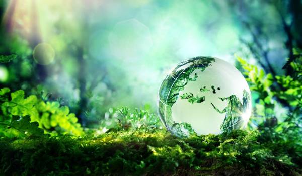 Sustainability: genuine action or marketing ploy?