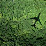 Qlobal Həmrəylik: Davamlı Səyahət Əməkdaşlığı