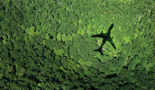 Global Solidarity: Sustainable Travel Collaboration