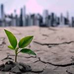 Climate change: emerging challenges and ways to combat them
