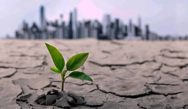 Climate change: emerging challenges and ways to combat them