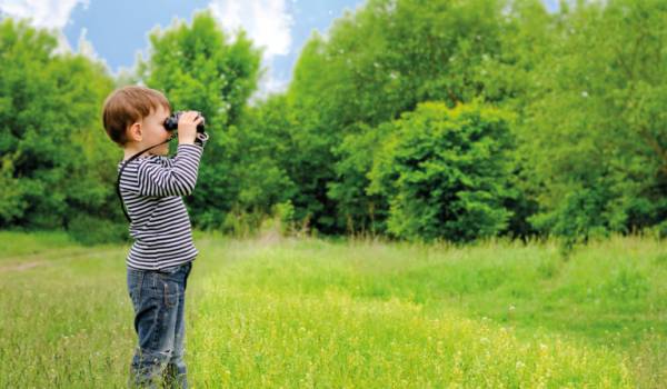 Beyond the Beaten Path: Birdwatching in Azerbaijan — A Journey into the Wild Heart of Nature
