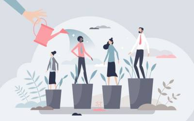 Mentorluq proqramları