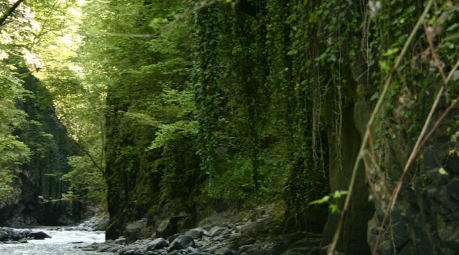 Azerbaijan | Balakan - Frisaga