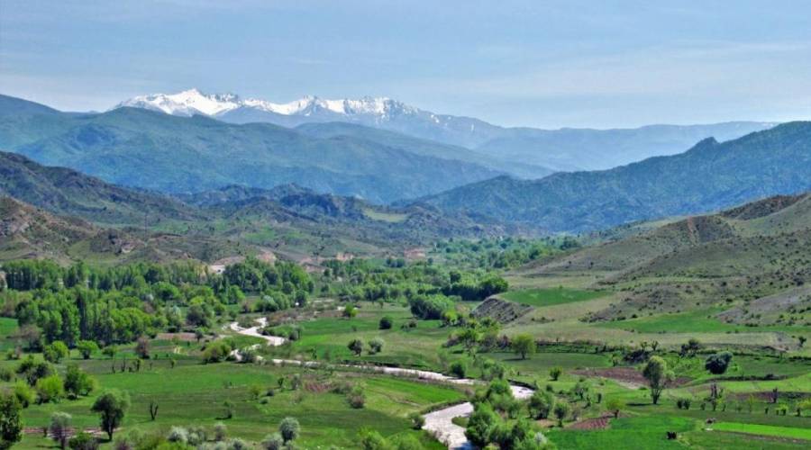 Azerbaijan | Tovuz - Frisaga