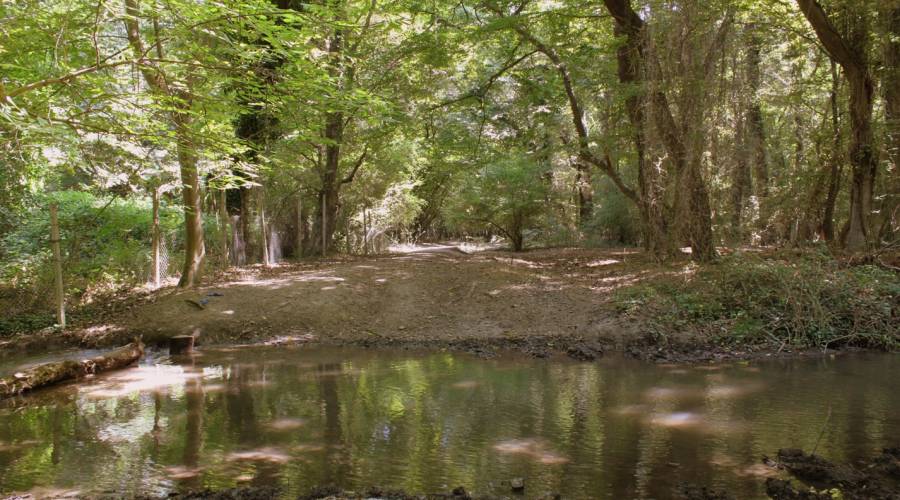 Nabranın mədəni həyatı