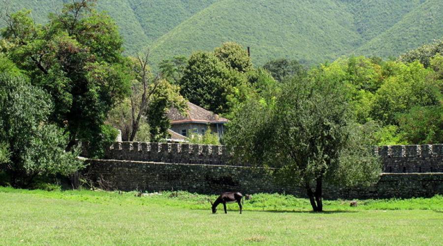 Спорт в Шеки