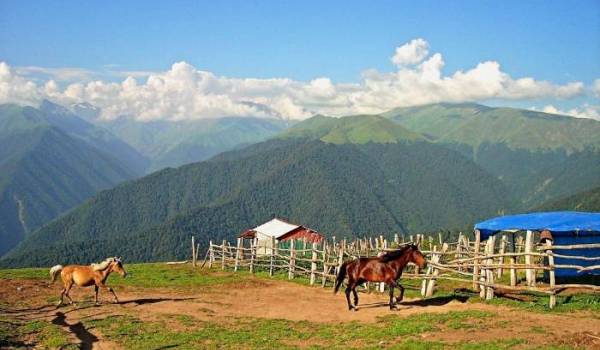 Спорт в Загатале