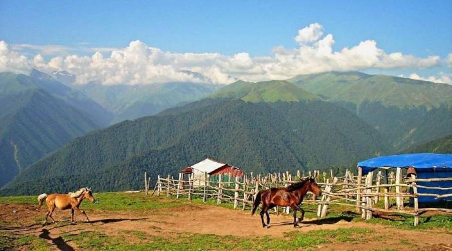 Спорт в Загатале