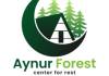 Aynur Forest  Villa logo