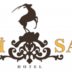 Şəki Saray Otel loqo