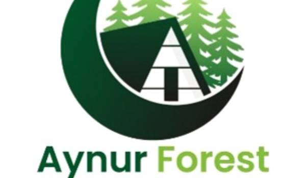 Айнурский лес 