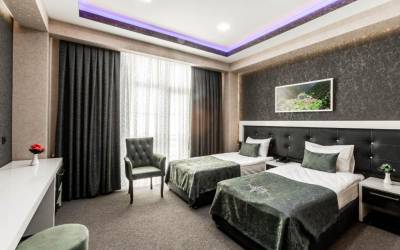 Ismayilli  Resort Hotel Hotel, Standard Twin Room