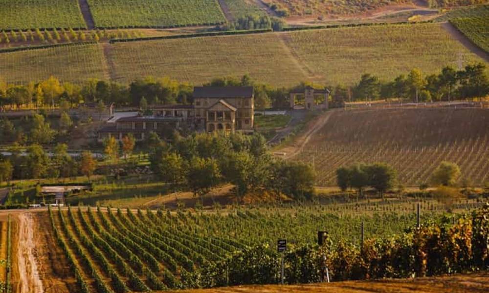 Shemakha Wine Tour: History, Culture and Tasting