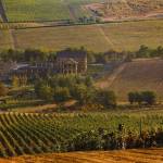 Shemakha Wine Tour: History, Culture and Tasting