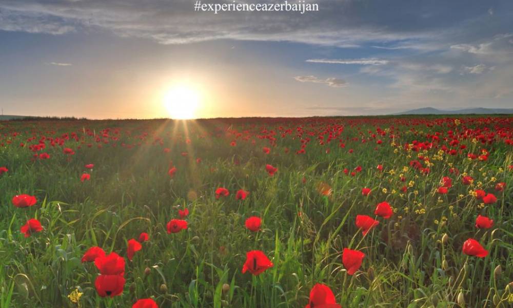 HER AZERBAIJAN – A Journey Made for Her