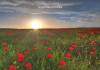 HER AZERBAIJAN – A Journey Made for Her