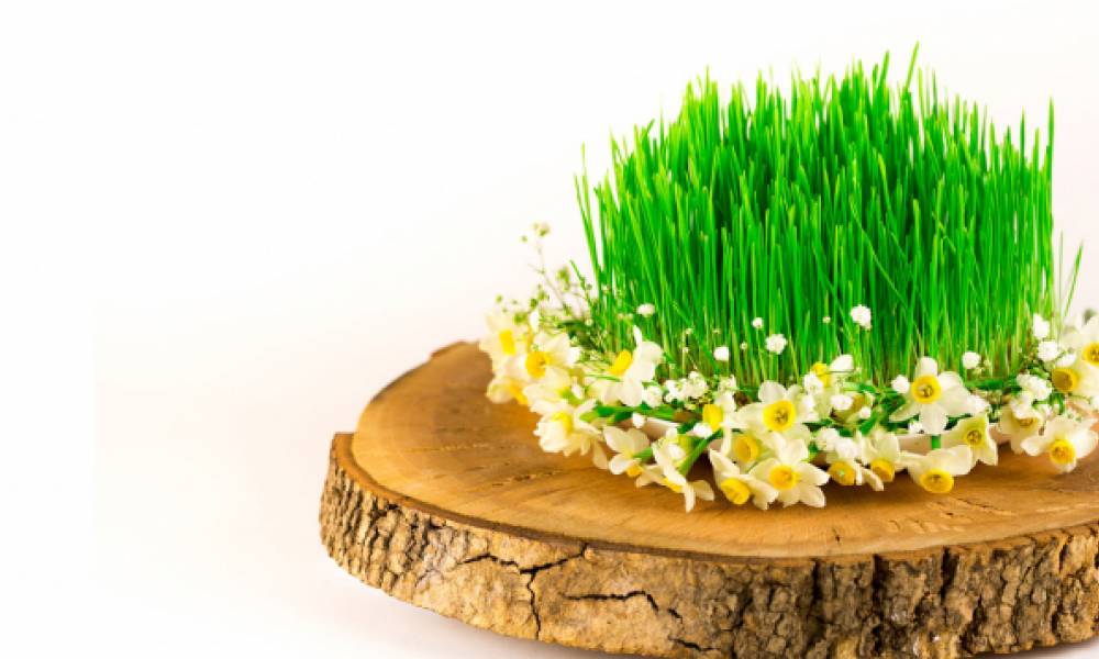 Novruzu Azərbaycanda qeyd edin - Sehrli Bahar Səyahəti! 