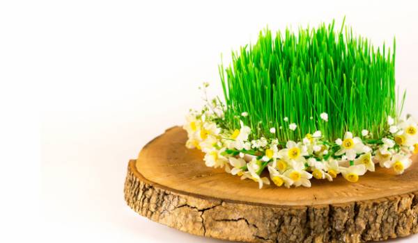 Novruzu Azərbaycanda qeyd edin - Sehrli Bahar Səyahəti! 