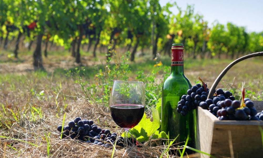 Bakı - Azərbaycanda Şərabçılıq Turu